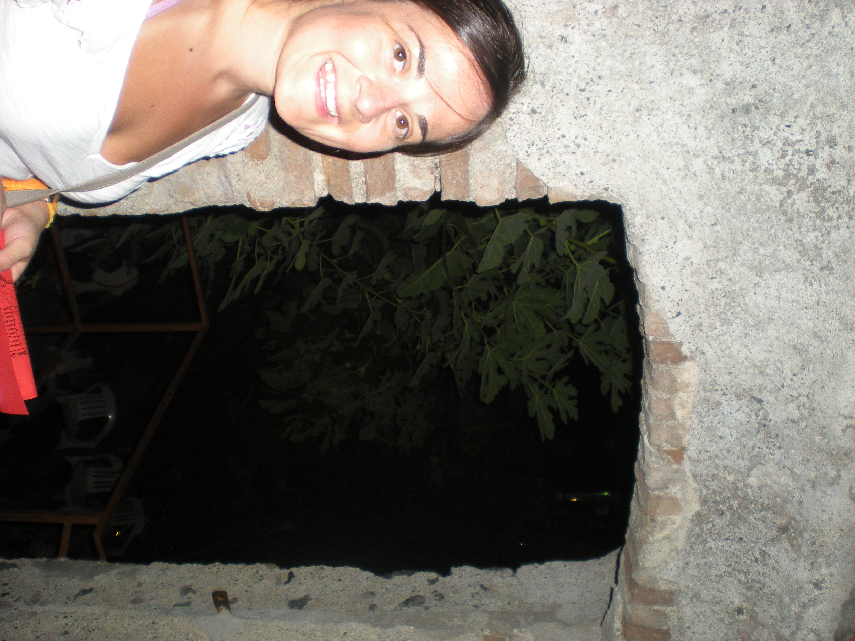 DSCN6196.JPG